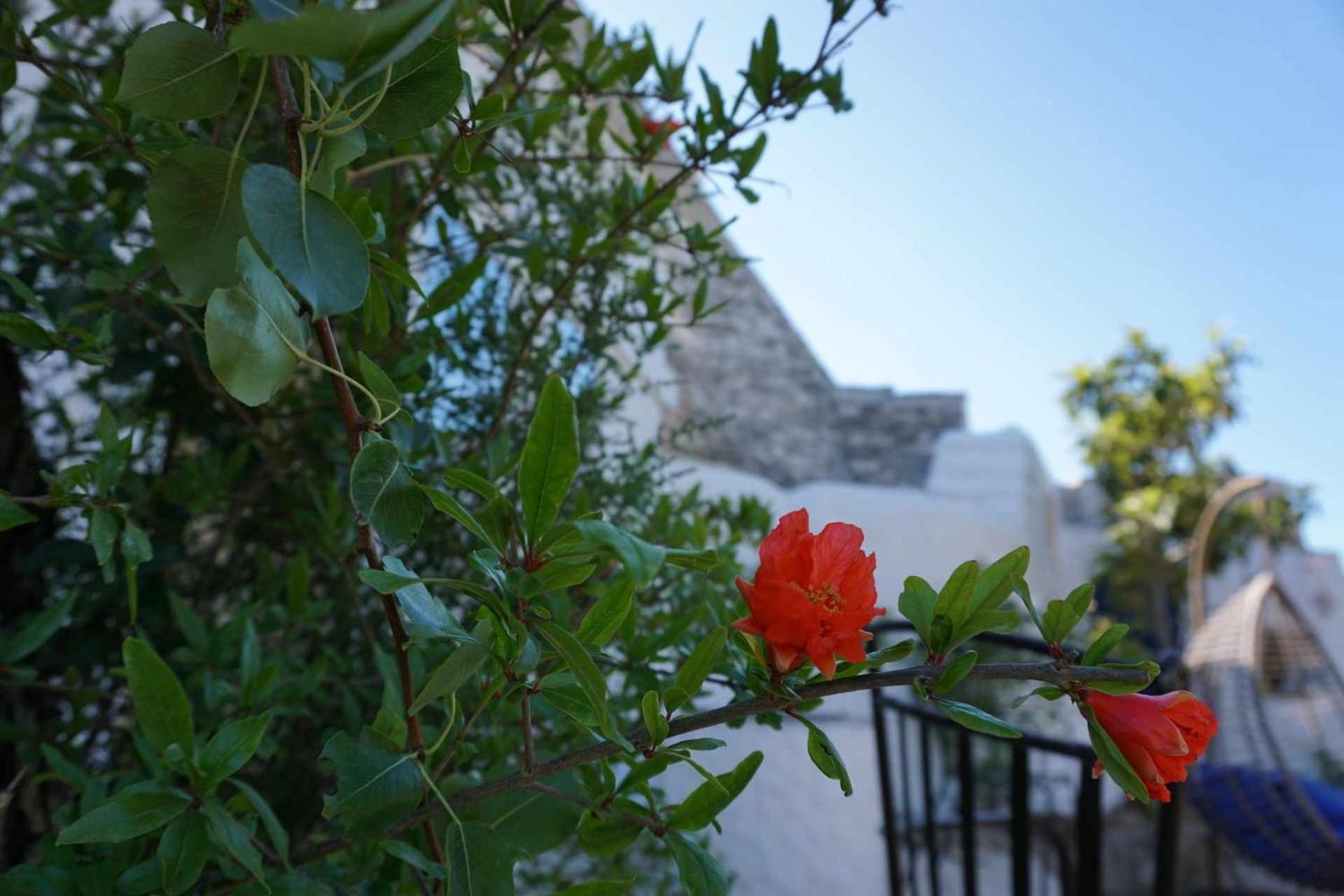 Trullo Biricchino Two Bedroom By Tripostuni Εξωτερικό φωτογραφία