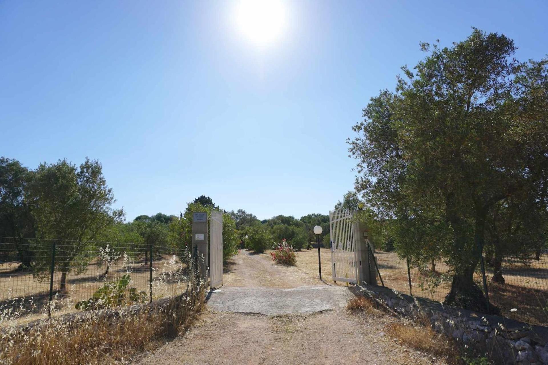 Trullo Biricchino Two Bedroom By Tripostuni Εξωτερικό φωτογραφία