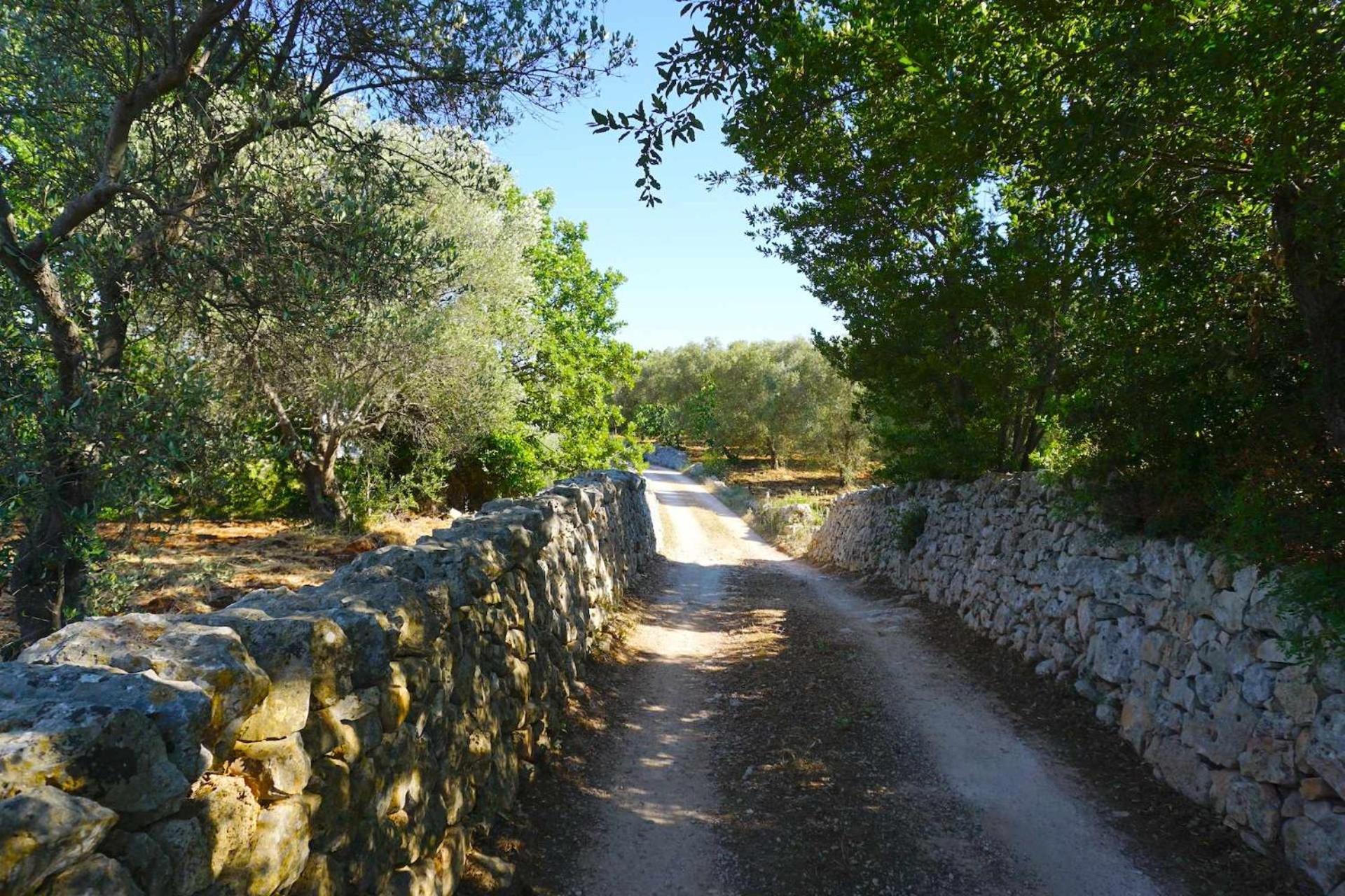 Trullo Biricchino Two Bedroom By Tripostuni Εξωτερικό φωτογραφία